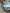 voitures-renault-clio-4-2019-gt-line-blida-algerie