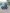 voitures-renault-clio-4-2019-limited-larbaa-blida-algerie