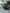 voitures-volkswagen-golf-7-2018-r-line-blida-algerie