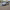 voitures-renault-clio-4-2019-gt-line-es-senia-oran-algerie