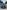 voitures-volkswagen-golf-7-2018-join-chevalley-alger-algerie