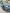 voitures-volkswagen-golf-8-2022-style-mohammadia-alger-algerie