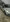 voitures-renault-clio-4-2018-gt-line-blida-algerie