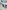 voitures-seat-leon-2017-fr15-alger-centre-algerie