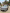 voitures-volkswagen-golf-8-2021-gte-draria-alger-algerie