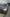 voitures-hyundai-i20-2020-facelift-meftah-blida-algerie