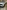 voitures-volkswagen-tiguan-2023-move-alger-centre-algerie