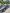 voitures-hyundai-accent-2019-confort-dar-el-beida-alger-algerie