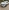 voitures-renault-clio-4-facelift-2020-limited-2-douera-alger-algerie