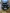 voitures-dacia-sandero-2018-stepway-bougara-blida-algerie