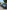 voitures-volkswagen-golf-7-2019-r-line-baba-hassen-alger-algerie