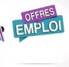 Offre de travail 