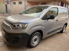 Fiat Doblo Dz 2024 Professional