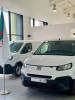 Fiat Professional Doblo 2024 