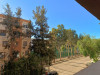 Vente Appartement F3 Blida Ouled yaich