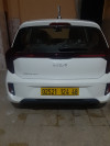 Kia Picanto 2024 New