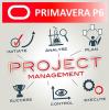 Formation PRIMAVERA P6 PPM