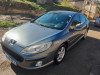 Peugeot 407 2006 Alure