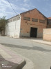 Location Hangar Sidi Bel Abbès Mostefa ben brahim