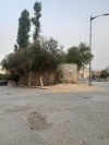 Location Niveau De Villa F6 Alger Baba hassen