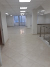 Location bien immobilier Alger Hydra