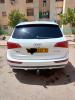 Audi Q5 2013 Off Road