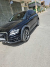 Audi Q5 2016 Off Road Pack Tech