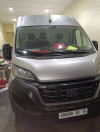 Fiat Ducato 2023