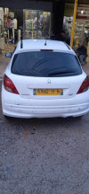 Peugeot 207 2011 207