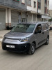 Fiat Brifisyonal 2024 Doblo