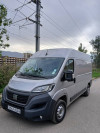 DUCATO Fiat 2023