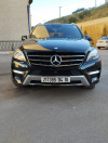 Mercedes ML 2014 250 CDI Pack AMG