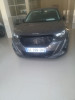 Peugeot 2008 2021 Erg