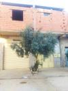 Vente Villa Laghouat Laghouat