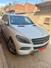 Mercedes ML 2013 250 CDI Pack AMG