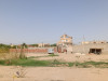 Vente Terrain Laghouat El assafia