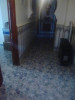 Location Appartement F3 Alger Bab el oued