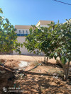 Vente Villa Mostaganem Sidi ali