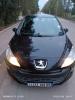 Peugeot 308 2009 Platinum 