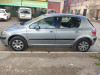 Peugeot 307 2005 Deux ele avonsboite kesse porteariel quelque retouche