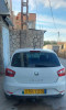 Ibiza Seat 2013 Folie