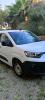 Fiat Doblo 2023 Professionnels