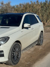 Mercedes ML 2014 250 CDI Pack AMG