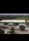 Location Hangar Alger Staoueli