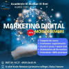 Formation Marketing Digital