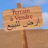 Vente Terrain Sétif Beni ouartilene