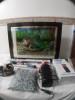 Aquarium plasma 45 litres avec accessoires 