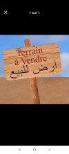 Vente Terrain Constantine El khroub