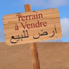 Vente Terrain Alger El madania