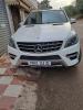 Mercedes ML 2013 ML